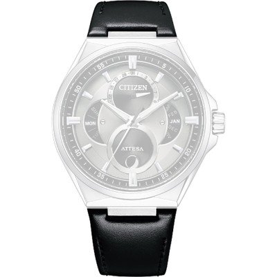 Citizen 59-S54545 Attesa triple calendar moon Strap