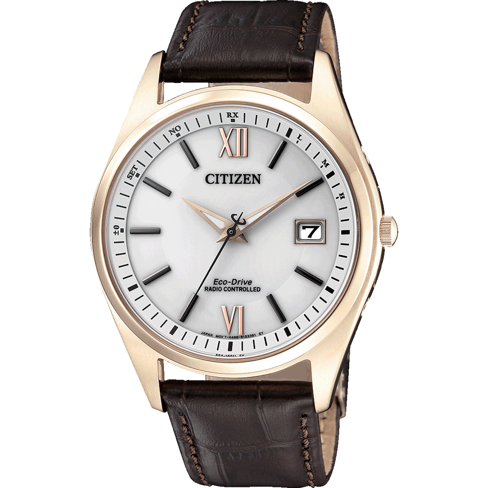 Citizen Radio Controlled AS2053-11A Watch