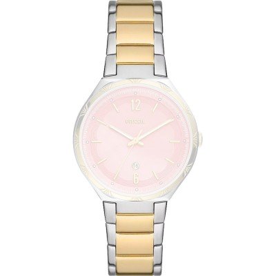 Fossil ABQ3786 BQ3786 Ashtyn Strap