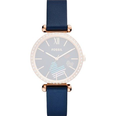 Fossil ABQ3855 BQ3855 Tillie Strap