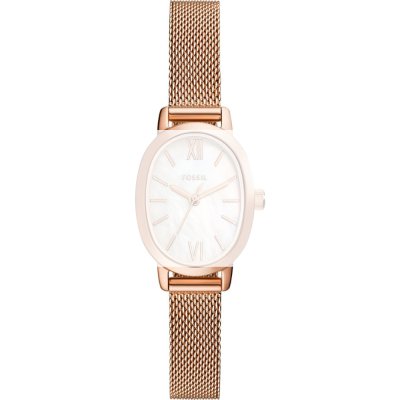 Fossil ABQ5018 Penny Strap