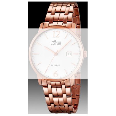 Lotus Straps BA03629 18178 Strap