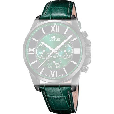 Lotus BC11407 Casual Chic Strap