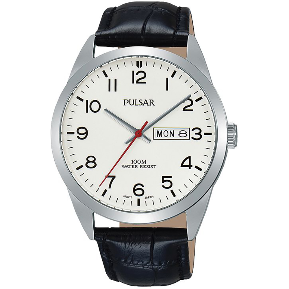 Pulsar PJ6065X1 Watch