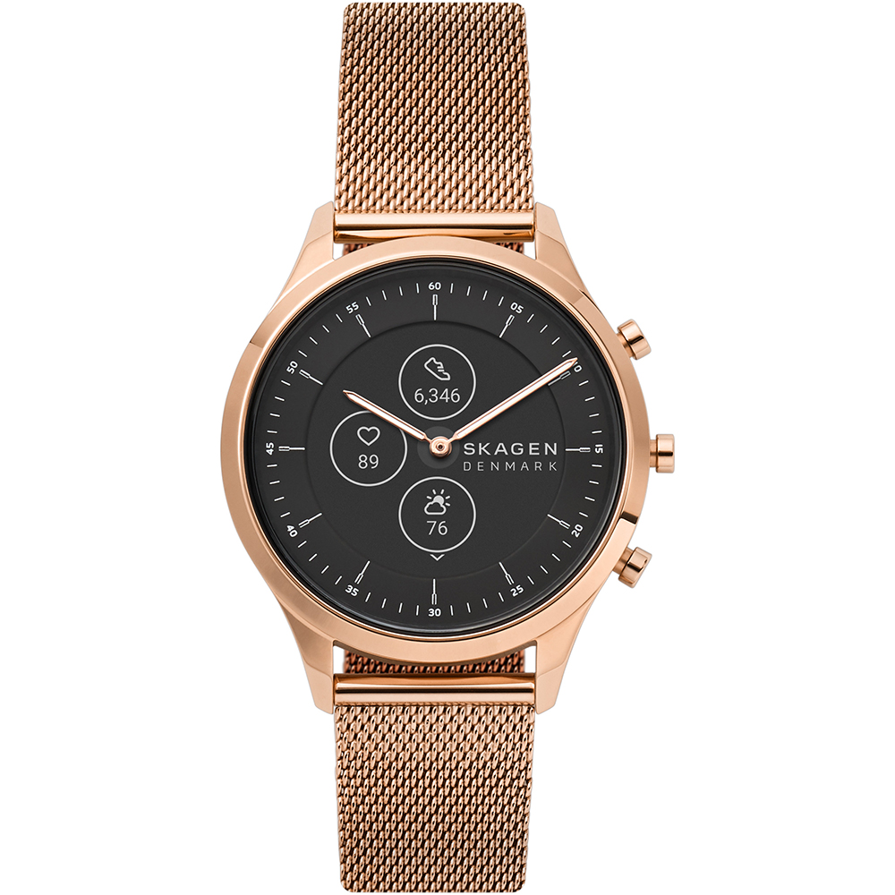 Skagen SKT3100 Hybrid HR Watch