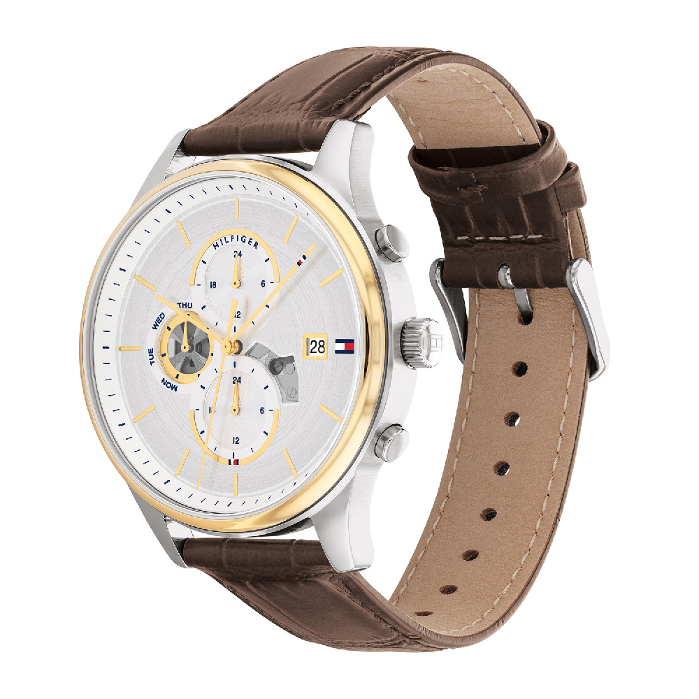 Tommy Hilfiger 1710501 Watch • EAN: 7613272485302 • Watch.co.uk